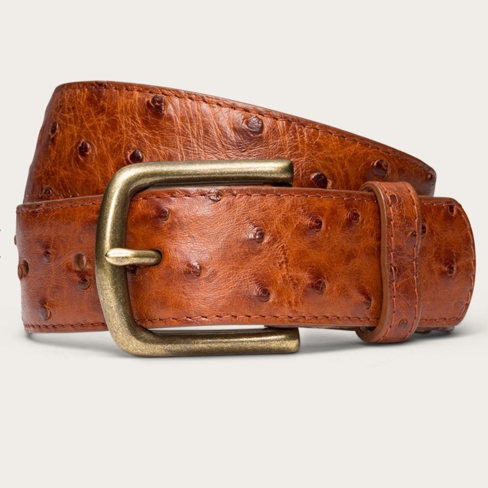 Tecovas Ostrich Belt in Pecan Ostrich/Brass Buckle